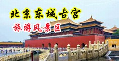 熟女插插视频中国北京-东城古宫旅游风景区